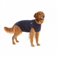 images/productimages/small/medical pet shirt hond.jpg